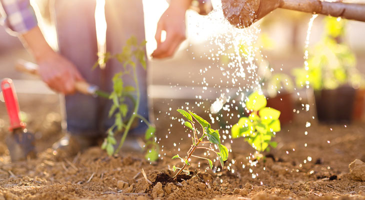 jardinage écologique