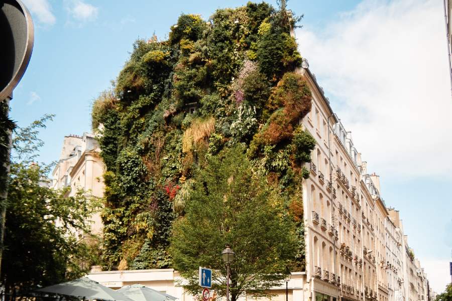 mur végétal à paris